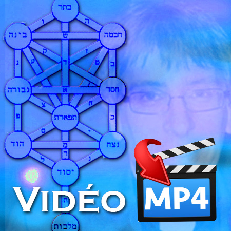 Arbre_generique_download_2022_video9