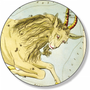 Capricorne6006