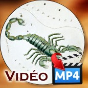 Scorpion_V