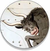 taureau